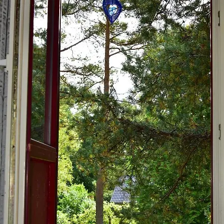 A Pine-house Of Green With Wood-heated Sauna * Reval